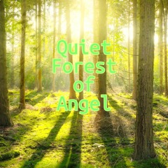 Quiet Forest of Angel