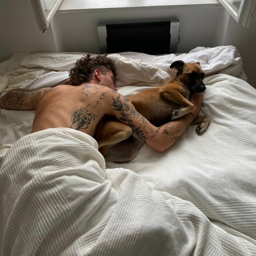 have a cozy evening with your dog (my very first mix)