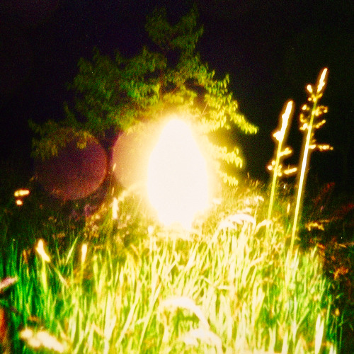 IN THE GLOW