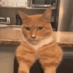 Aria Math (DnB Remix)