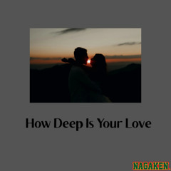 NAGAKEN MIX DEC(BED ROOM)How Deep Is Your Love