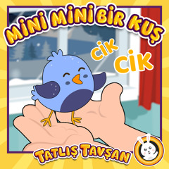 Mini Mini Bir Kuş