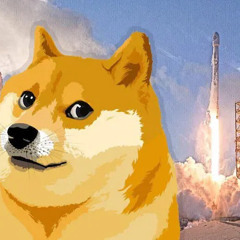 Dogecoin Anthem (feat JunkFace, Elon Musk)
