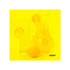 Vida De Solteiro + Lemonade - Syon Remix