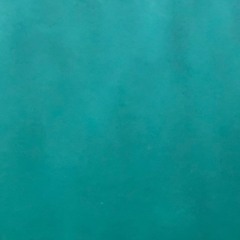 FRONTALYSIDE