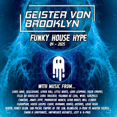 2025 Q4 FUNKY HOUSE MIX