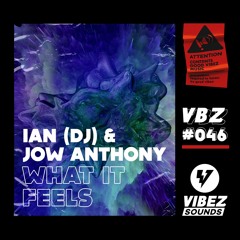 Ian (DJ), Jow Anthony - What It Feels