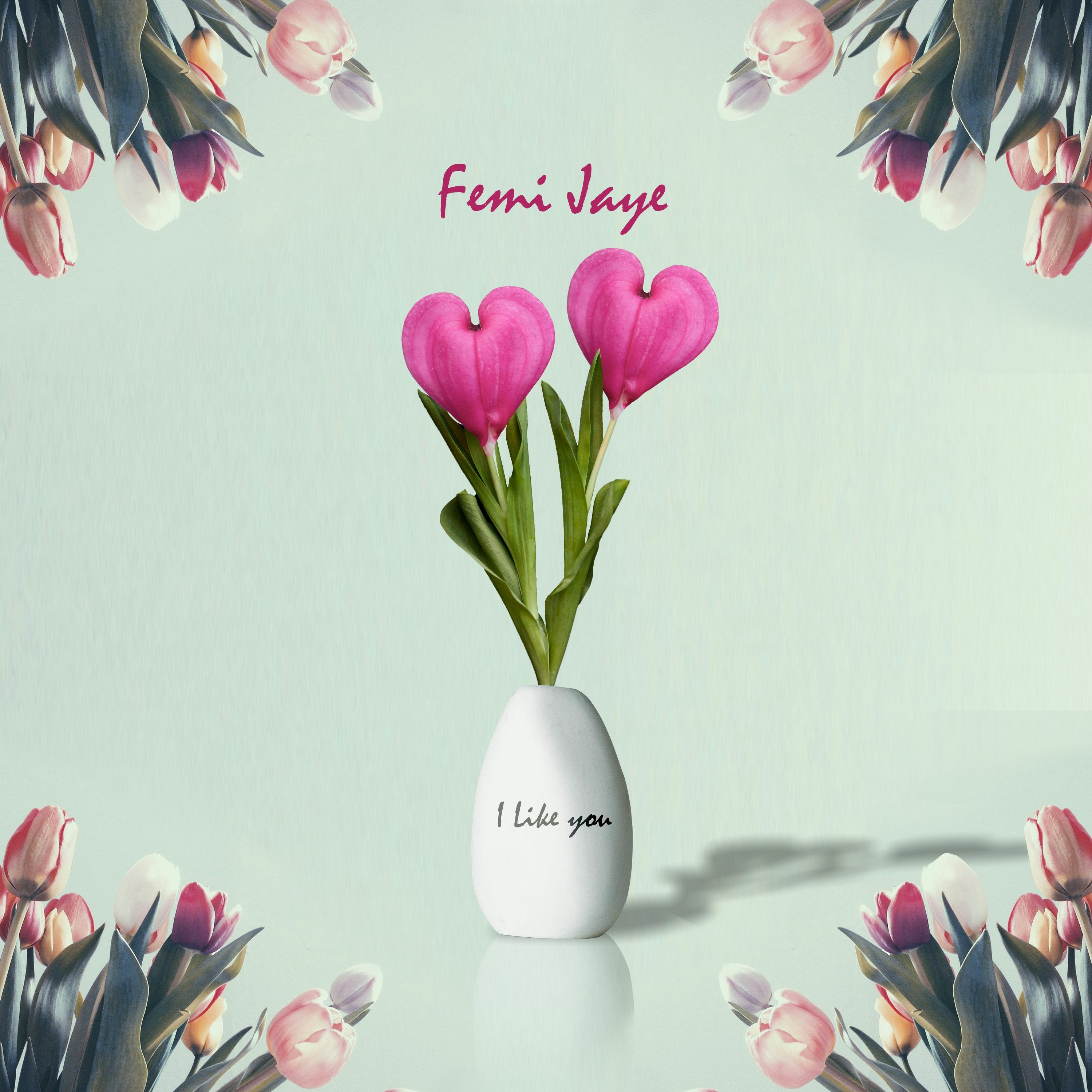 Femi Jaye Music