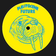 A1) Dynamic Forces - Encounters (PF007)