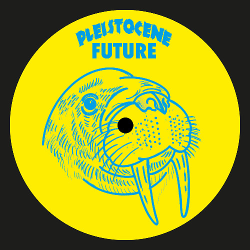 A1) Dynamic Forces - Encounters (PF007)