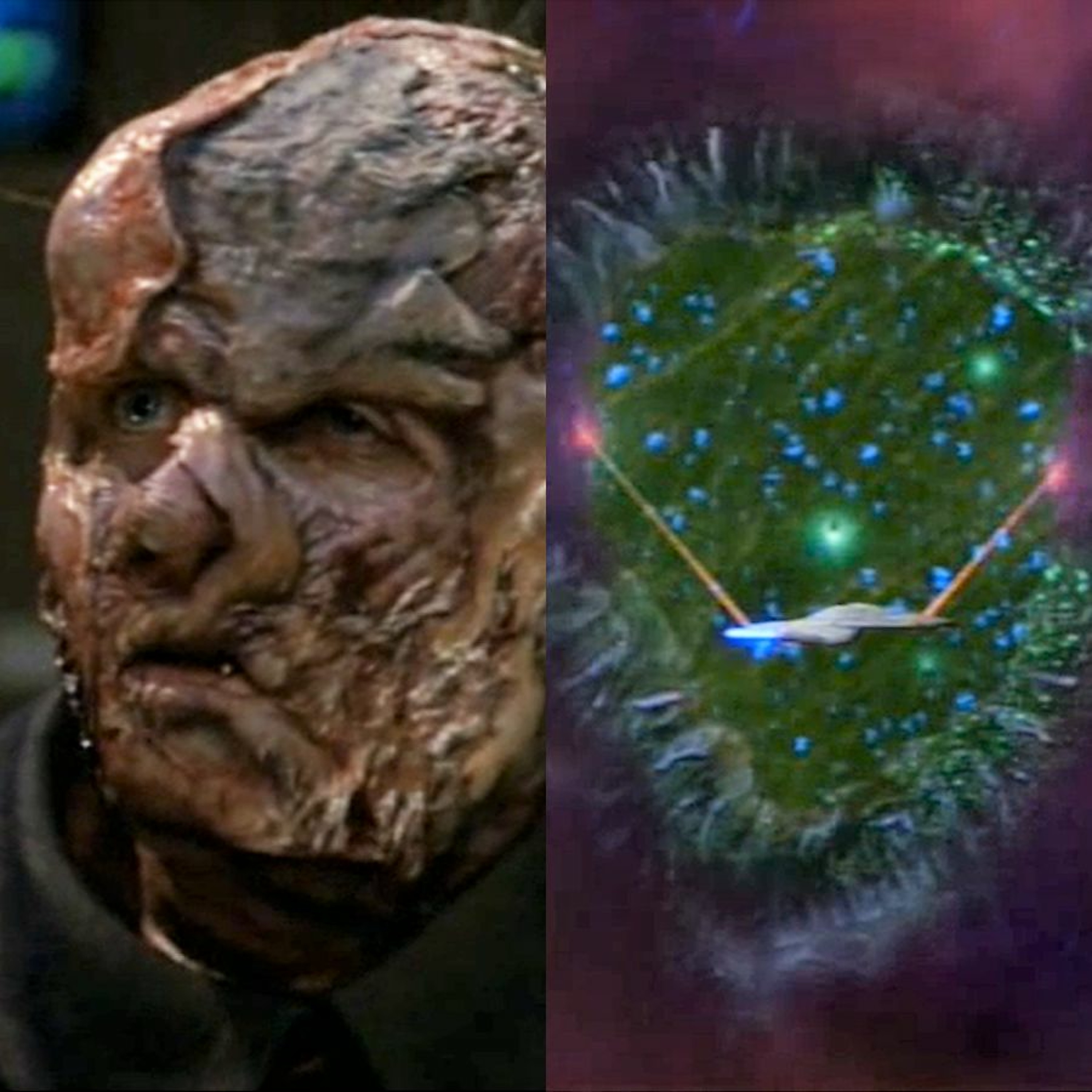 A Star to Steer Her By