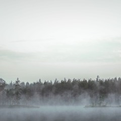 Virta