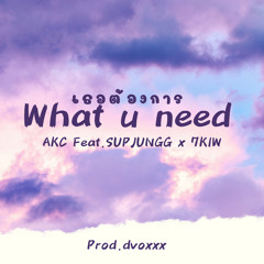 AKC - เธอต้องการ (What u need) Feat. SUPJUNGG,7KIW​【OFFICIAL AUDIO】Prod.dvoxxx