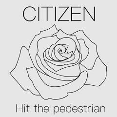 Hit the Pedestrian