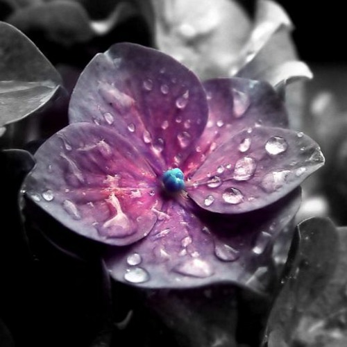 Mellow Moods 49 - Mellow D