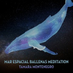 Whales Meditation