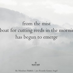 Harvesting Reeds in a Misty River(NaviarHaiku464)