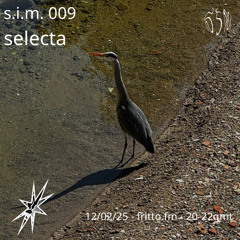 S.I.M. 009 with Self Isolated Music selecta 12.02.25