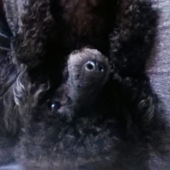 tell me if you need me (Prod By Jammy)