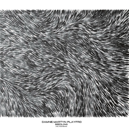 CF Premiere: Damne, Martyn Playfrd - Missing Clouds [Wetland]