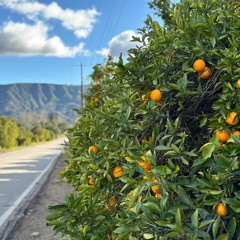 Perfect Day (feat. Kat Gleicher)