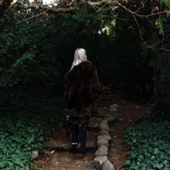 suwie - andrewstory
