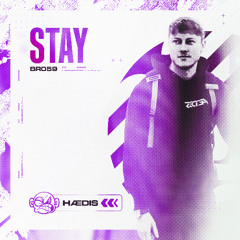 HÆDIS - STAY [OUT NOW]