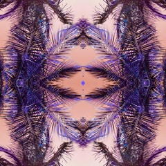 Be Pulse :: Live in Fort Lauderdale :: 10.5.2006