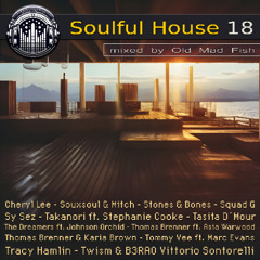 Soulful House 18