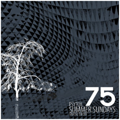 Summer.Sundays.75 - Groove Theory