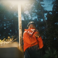 Flock My Sheep (P.Nate22)