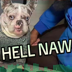 HELLNAW  FNF hellNaw dog Song