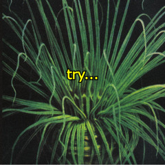 try...