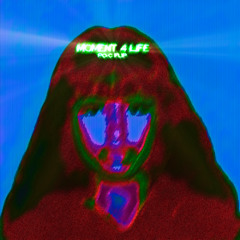 Moment 4 Life Po-c Flip