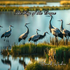 The way of the Crane