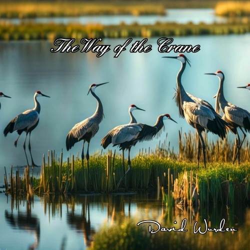The way of the Crane