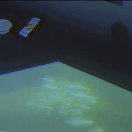 Roddy Rich - Down Below |Slowed ~ Reverb|