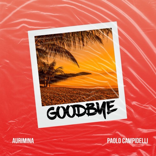 Auri Mina Feat. Paolo Campidelli - GOODBYE