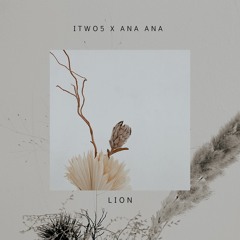 ITWO5 x ANA ANA - Lion
