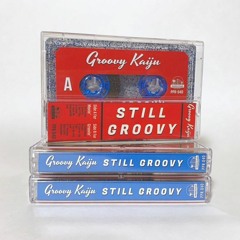Touch My Body And My Soul - Only 15 "Still Groovy" Cassettes Left!