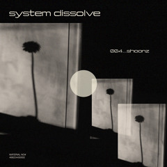 system dissolve 004 w/ shoonz