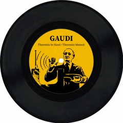 Gaudi - Theremin In Hand (preview)