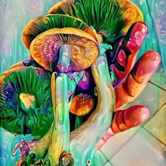 Eat Magic Mushrooms