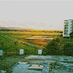 Raumati Bounce