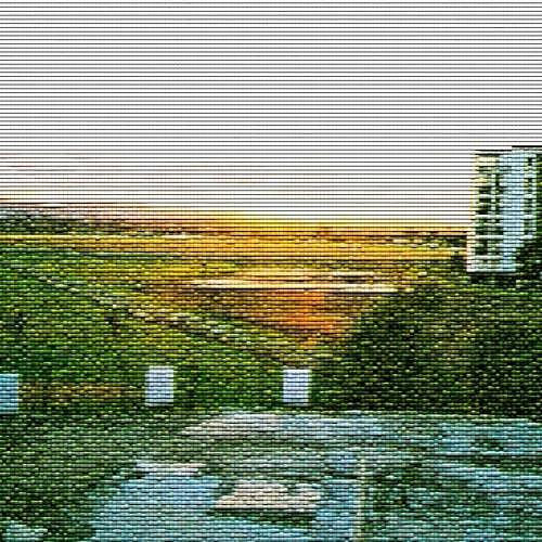 Raumati Bounce