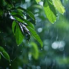 Brief Summer Rain
