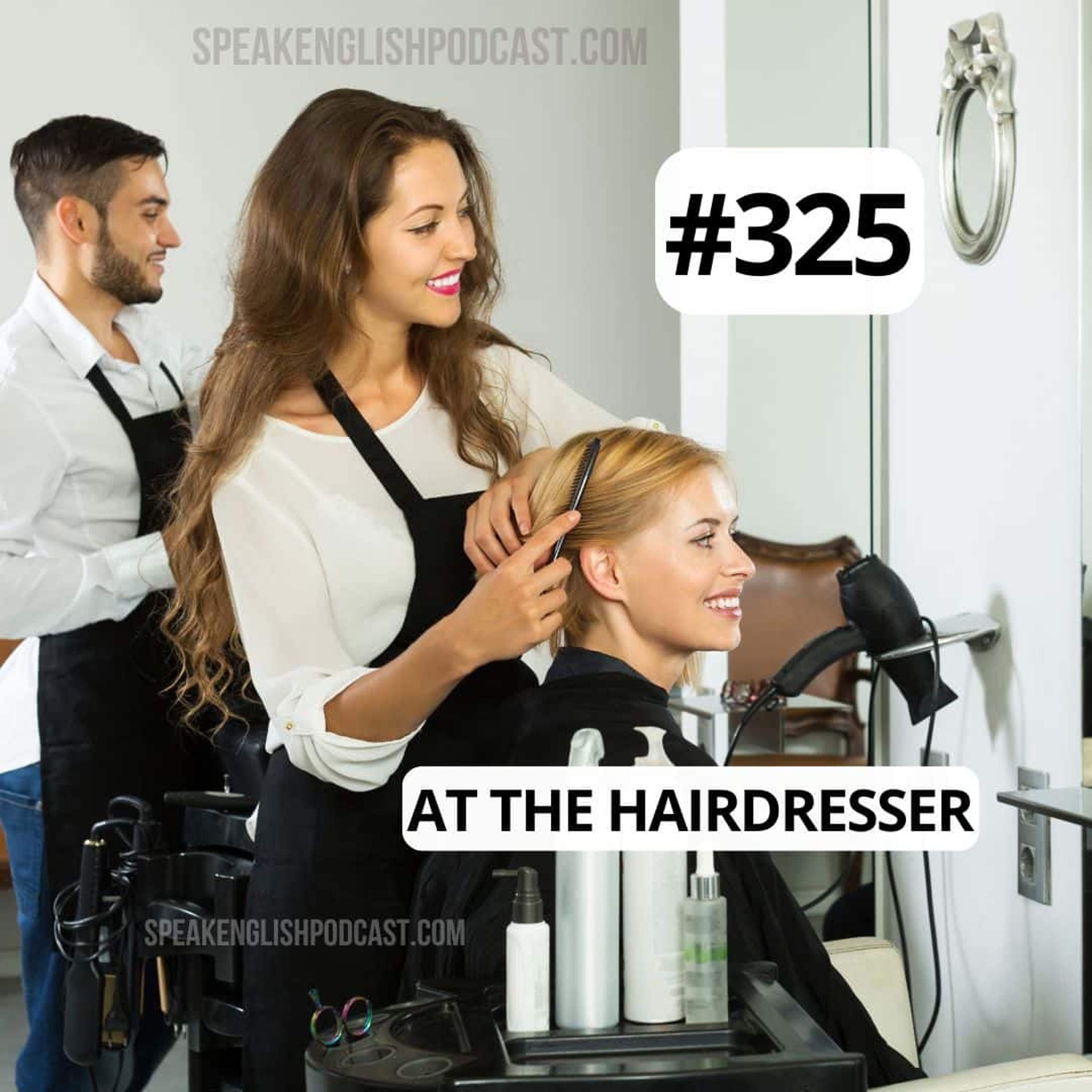 #325 At the Hairdresser episode artwork