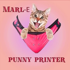 Marl-E - Punny Printer (Raw) (Bruck Wild Riddim)