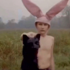 damn you rabbit