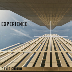 Experience